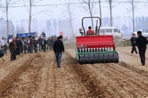 Six rows maize planter/corn seeder with fertilizer/Agricultural Mini Corn Seeder Fertilizer Spread