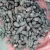 Import Small Taro / Colocasia esculenta Corm from Vietnam