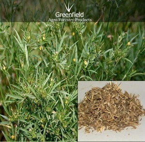 Stylo santhes hamata grass / Forage / Fodder seeds