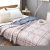 Import Summer Cotton Quilt Adults 100% Cotton Living Room Home Wholesale Quilts Summer Cotton Quilt from China