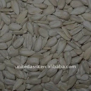 sunflower seed kernel