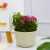 Import The newContemporary and contracted Plants with thick white gray plastic tubs flowerpot  ir Resin breathable mini flowerpot from China