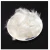 Import top 80% duck down 20% duck feather supplier arrow fletching 20cm ostrich feather from China