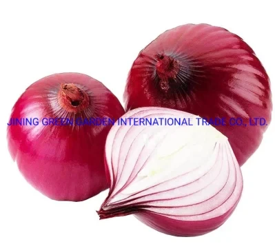 Top Quality Lowest Price Plant Direct Supply Wholesale Chinese 2021 New Crop Fresh Red Onion Red Skin Onion 3-7cm, 5-8cm, 7-9cm, 9cm up Round Shape Red Onion