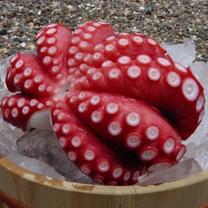 Top selling wholesale cooked frozen octopus