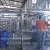 Import Turn key solution for vegetable processing line/plant/machine from China