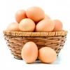 Ukrainian fresh white brown chicken eggs