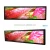 Import Ultra Wide Format Passenger Information System Electronics LCD Monitors from China