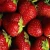 Import various size frozen strawberry green fresh fruit supplier from China