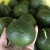 Import Vietnam Fruit 100% Maturity Shelf Life 1 Month Big Size Organic New Crop High Quality Fresh Green Orange from Vietnam