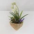 Import Wall Hanging Natural Wicker Flower Basket Flower Pot Planter Rattan Vase Basket Home Garden Wall Decoration Storage Container from China