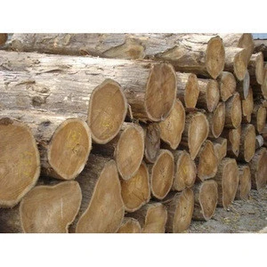 WHITE AND RED OAK WOOD LOGS