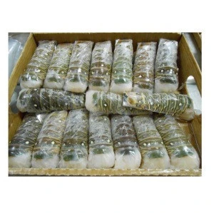 Wholesale Best Price Frozen Lobster Tails For Wholesale