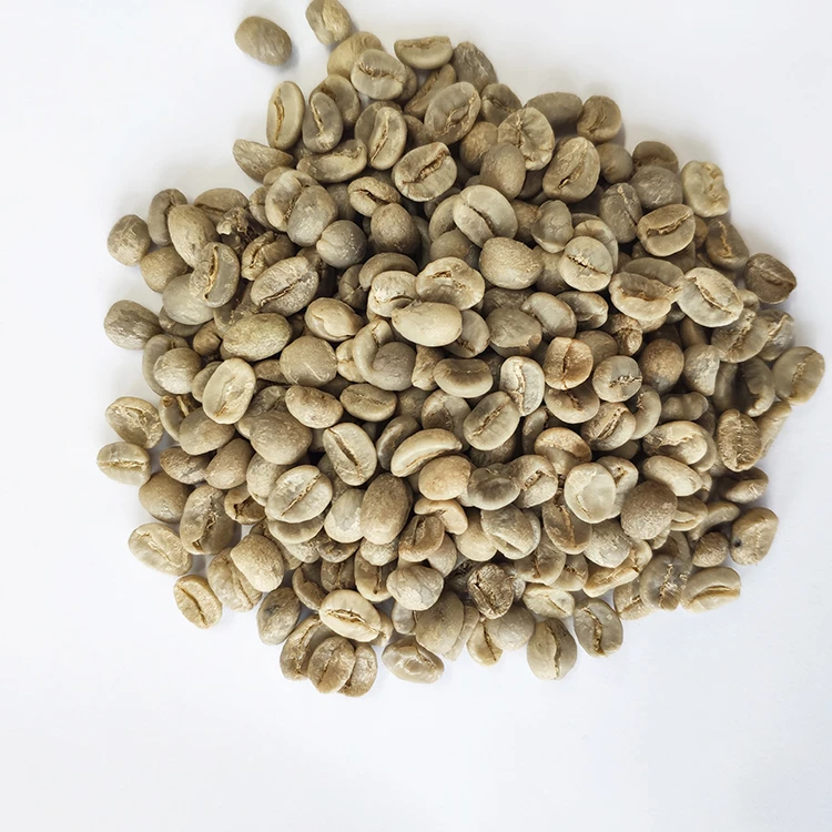 Wholesale coffee green beans with expoet Arabica coffee beans