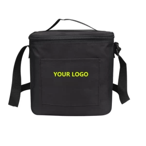 Wholesale Custom Portable Waterproof Polyester Aluminum Film Beer Lunch Cooler Bag for Cans