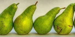 Wholesale Fresh Pear / Pear Fruit Price / Fresh Pear Fruit