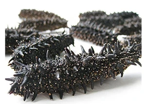 Wholesale high quality low fat dry sea cucumber