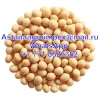 Wholesale Natural Soybeans Style  Natural  Non-GMO Soy Bean
