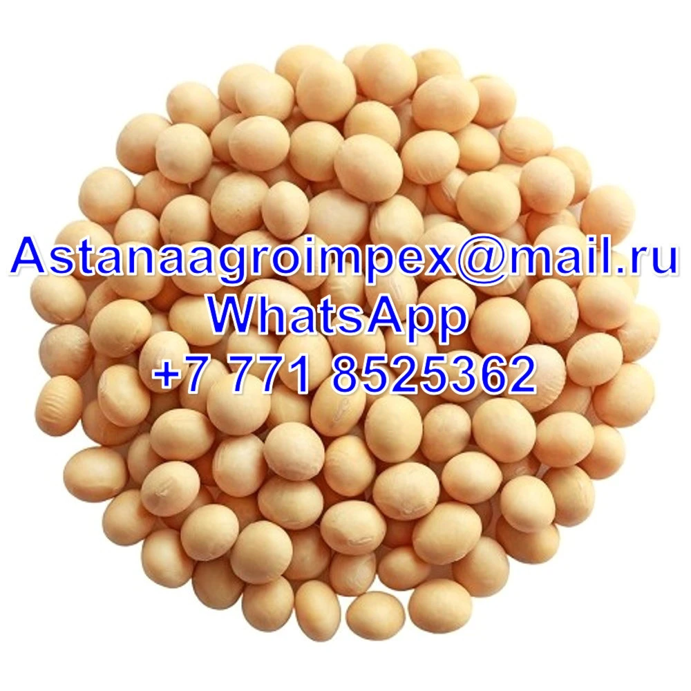 Wholesale Natural Soybeans Style  Natural  Non-GMO Soy Bean