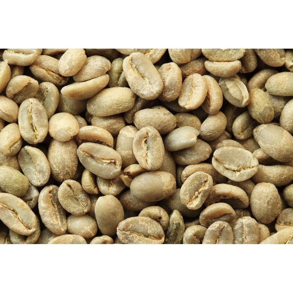 Wholesale Organic Cultivation green  Coffee Beans   Packaging 24 Months Shelf Life roasted coffee beans