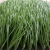 Import Wholesale outdoor artificial grass and sport flooring simulation lawns from China