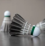 Wholesale Outdoor Indoor Sports Play Shuttlecock Durable Goose Feather Black Badminton Shuttlecocks