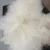 Import Wholesale Price Factory supplier 19.5-22.5mic Natural White 100% Raw Sheep Wool Carded Fiber from China