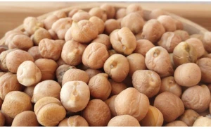 Best Selling Chickpeas for sale