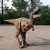 Import Walking Realistic Dino Hidden Legs Dinosaur Costumes Ride for Sale from China