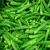 Import Fresh Okra high quality from South Africa