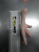 Frozen Chicken Feet