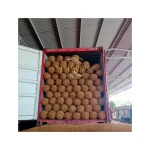 Vietchoice Sustainable Coir Logs Erosion Control Made Vietnam High-Density Diameter 20/30cm Agriculture Use Custom