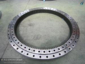 China Factory Supply RKS.062.25.1204 Slewing Bearing 1289*1072*68mm