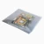 Import Static shielding bag with ziplock from China