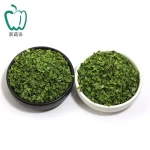 Commercial dehydrated green onion