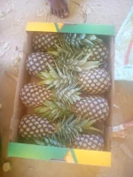 Pineapple MD2