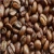 Import Top Harvest Arabica Coffee Bean Wholesale Export Supply Coffee Bean For Worldwide Market Strong Demand from South Africa