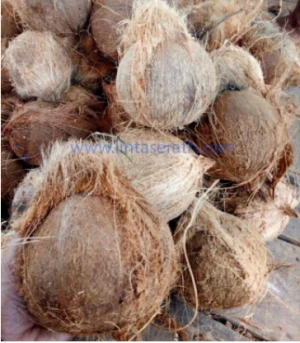 Semi Husked Matured Coconut, 40kg Mesh Bag
