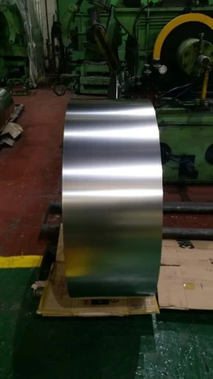 Nickel Silver Strip - C7701,C7521,C7541
