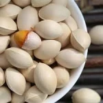 Good Quality Ginkgo Nuts for Sal