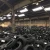 Import Used Tires with Korean Premium Brands. from South Africa