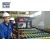 Import CHMA4-4/5 A4 cut size sheeting and packaging production line from China