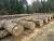 Import Teak Wood Logs and Oak/ Beech/ Spruce Logs Export from South Africa