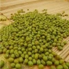 Green Mung Beans Available