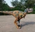 Import Walking Realistic Dino Hidden Legs Dinosaur Costumes Ride for Sale from China