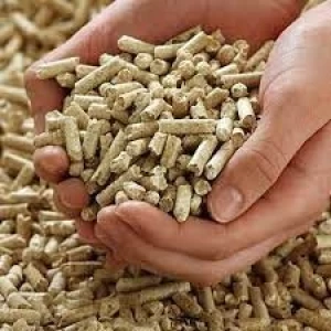 Top Quality Wood Pellets and wood products at the very best prices with fast shipping and door to door delivery.