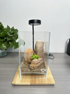 Suspended Square Cylinder With Wooden Base  Dingju Small Fish Tank