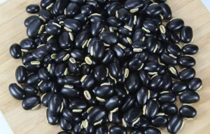Black Lentils/Black Hyacinth Beans