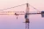 Import Tower crane from China