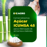 sugar icumsa 45